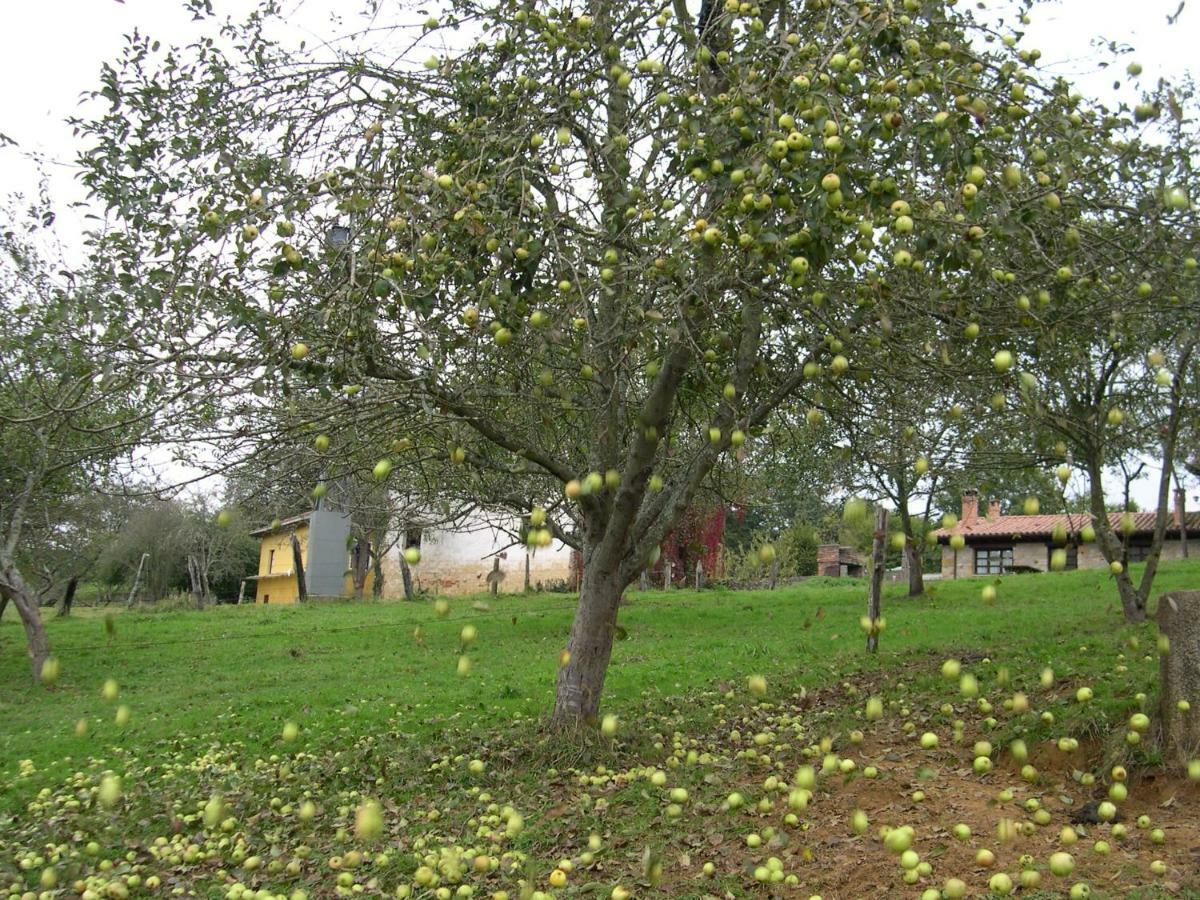 Pensjonat Turismo Rural El Sidron Piloña Zewnętrze zdjęcie