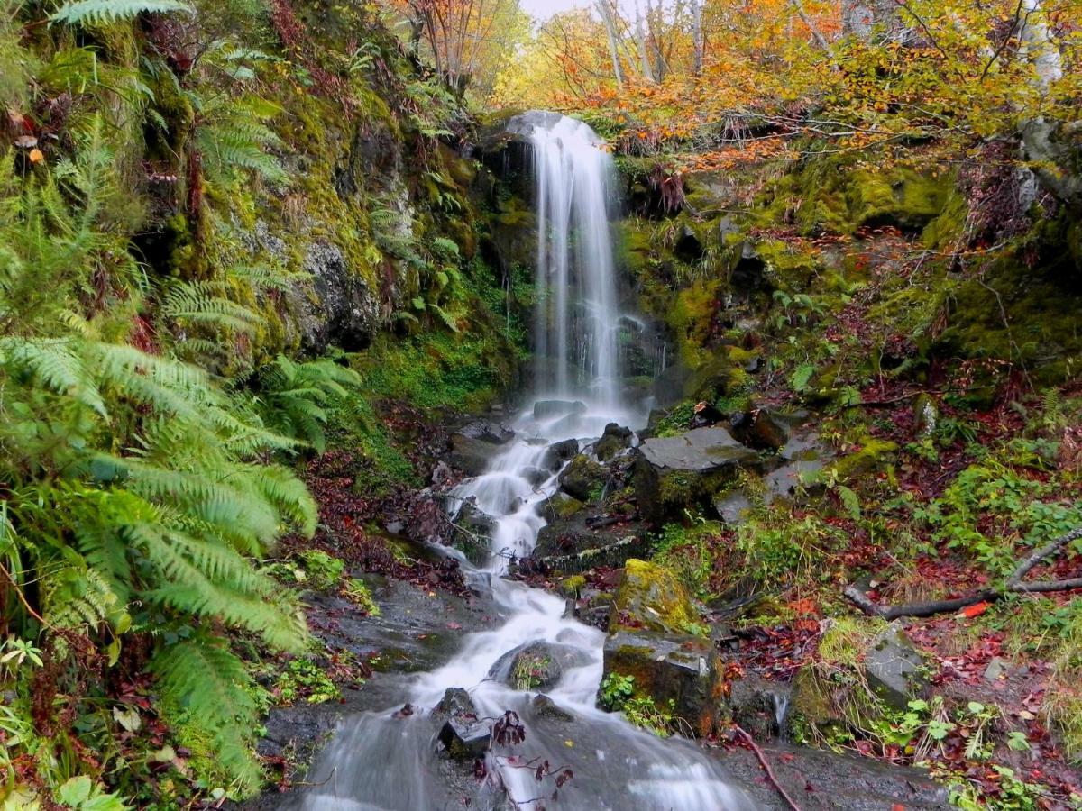 Pensjonat Turismo Rural El Sidron Piloña Zewnętrze zdjęcie
