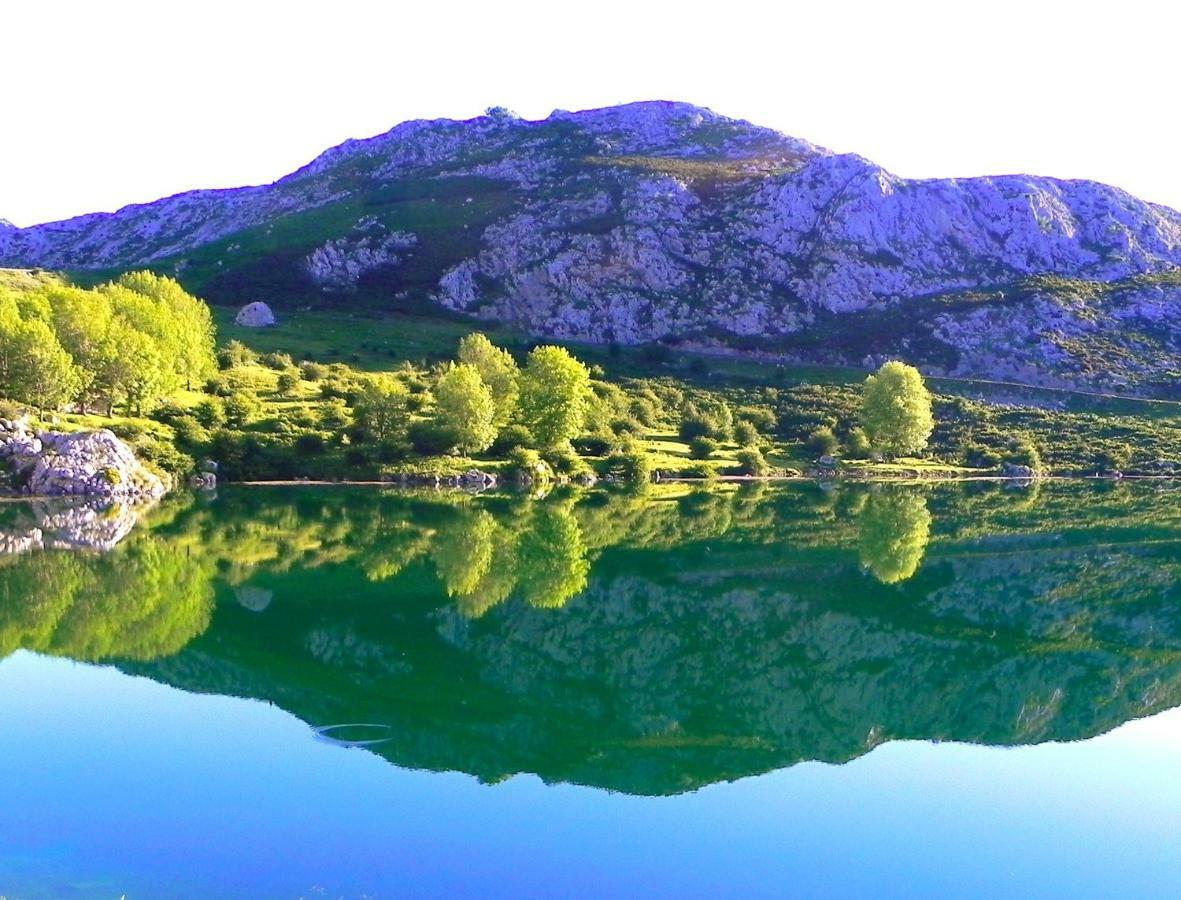 Pensjonat Turismo Rural El Sidron Piloña Zewnętrze zdjęcie