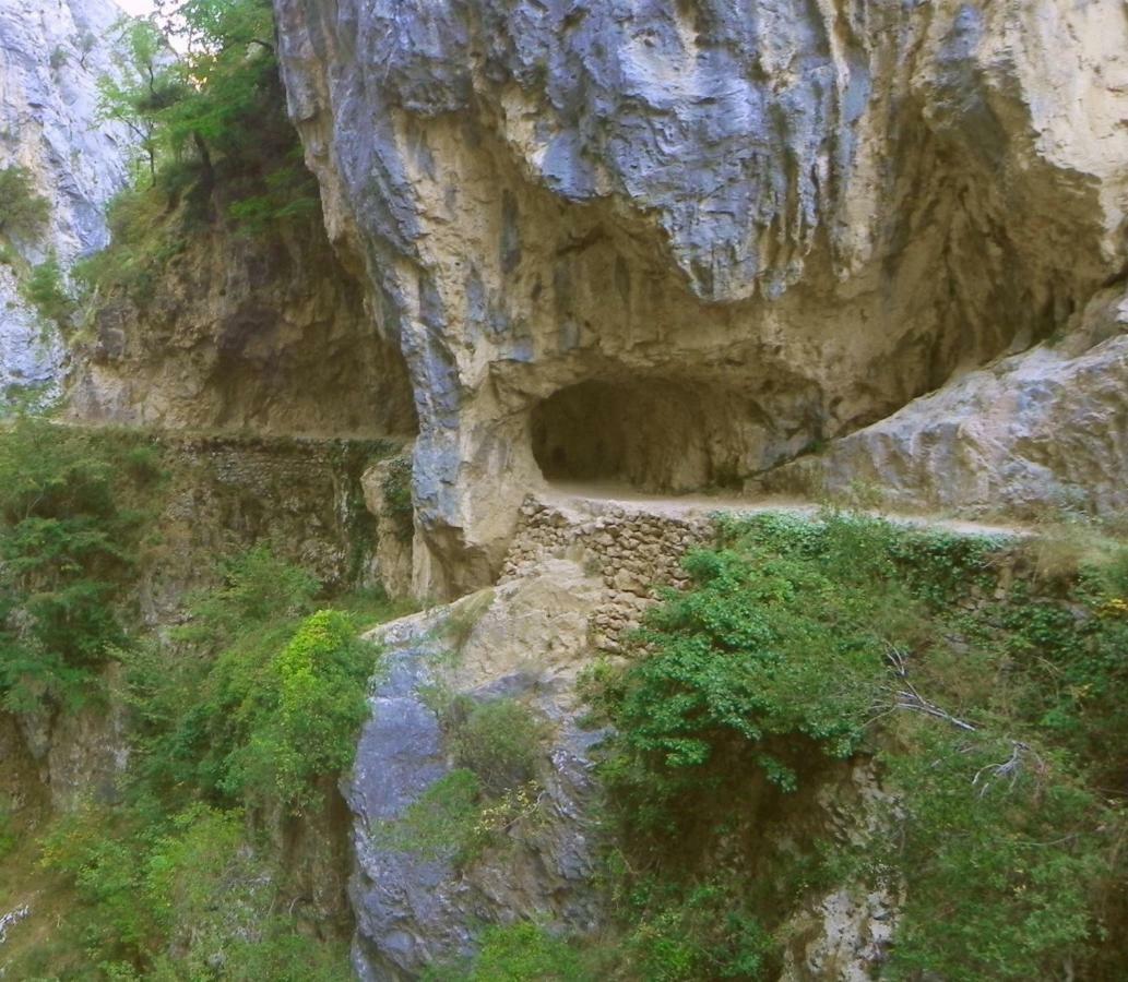 Pensjonat Turismo Rural El Sidron Piloña Zewnętrze zdjęcie